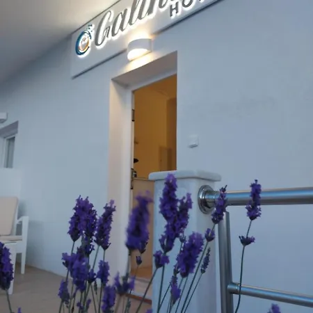 Galini Maison d'hôtes Náoussa